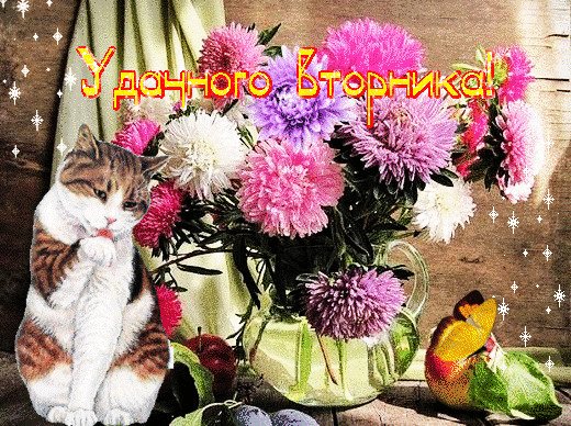 С добрым весенним утром вторника