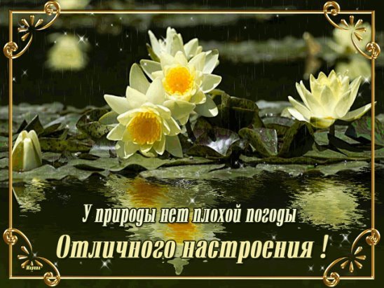 Хорошего настроения в любую погоду