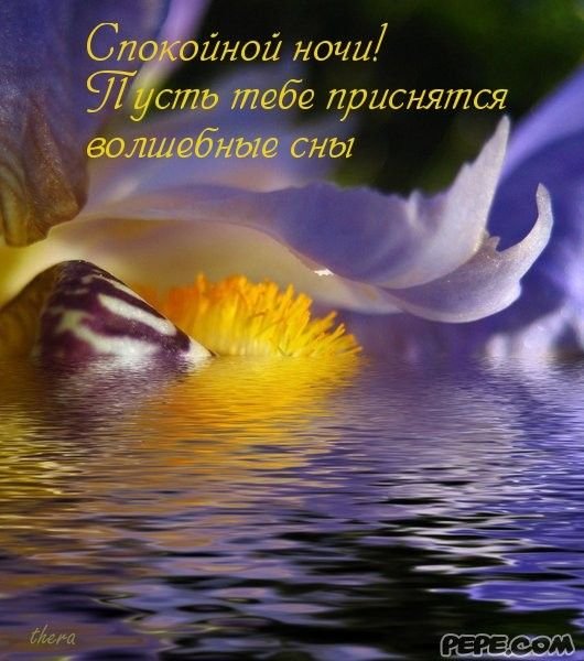 Спокойной ночи весной