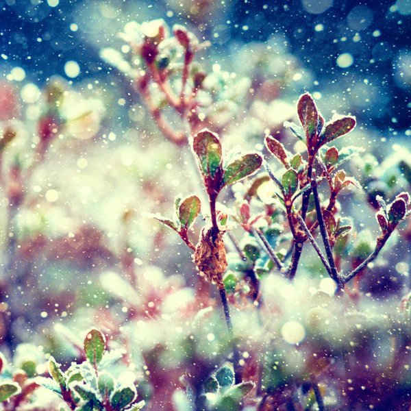 Весенняя аватарка для группы