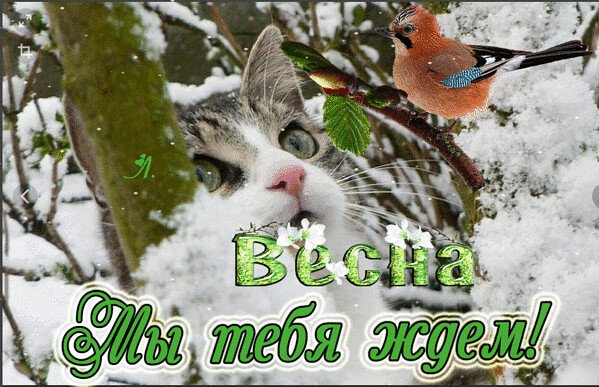 Весна потерялась