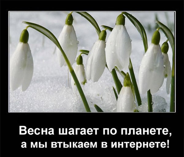 Смешные высказывания о весне