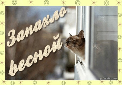 Пахнет весной гифки