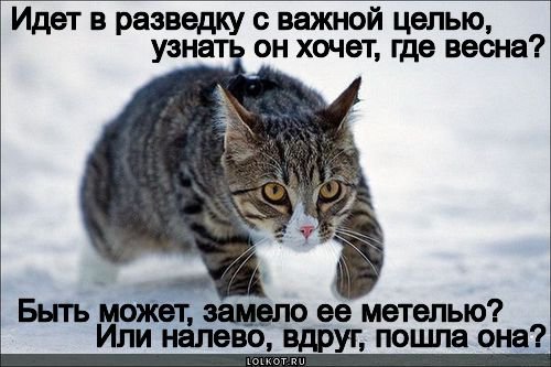 Первый день весны ожидание и реальность