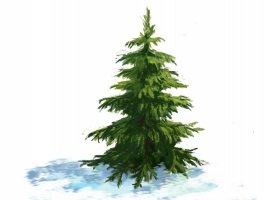 Елка в лесу