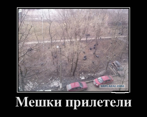 Народный праздник Герасим Грачевник