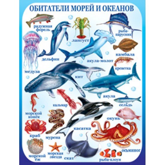 Плакат "обитатели моря"