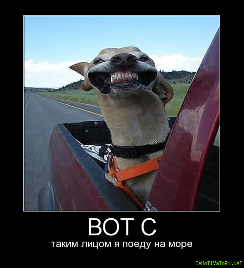 Долгожданный отпуск