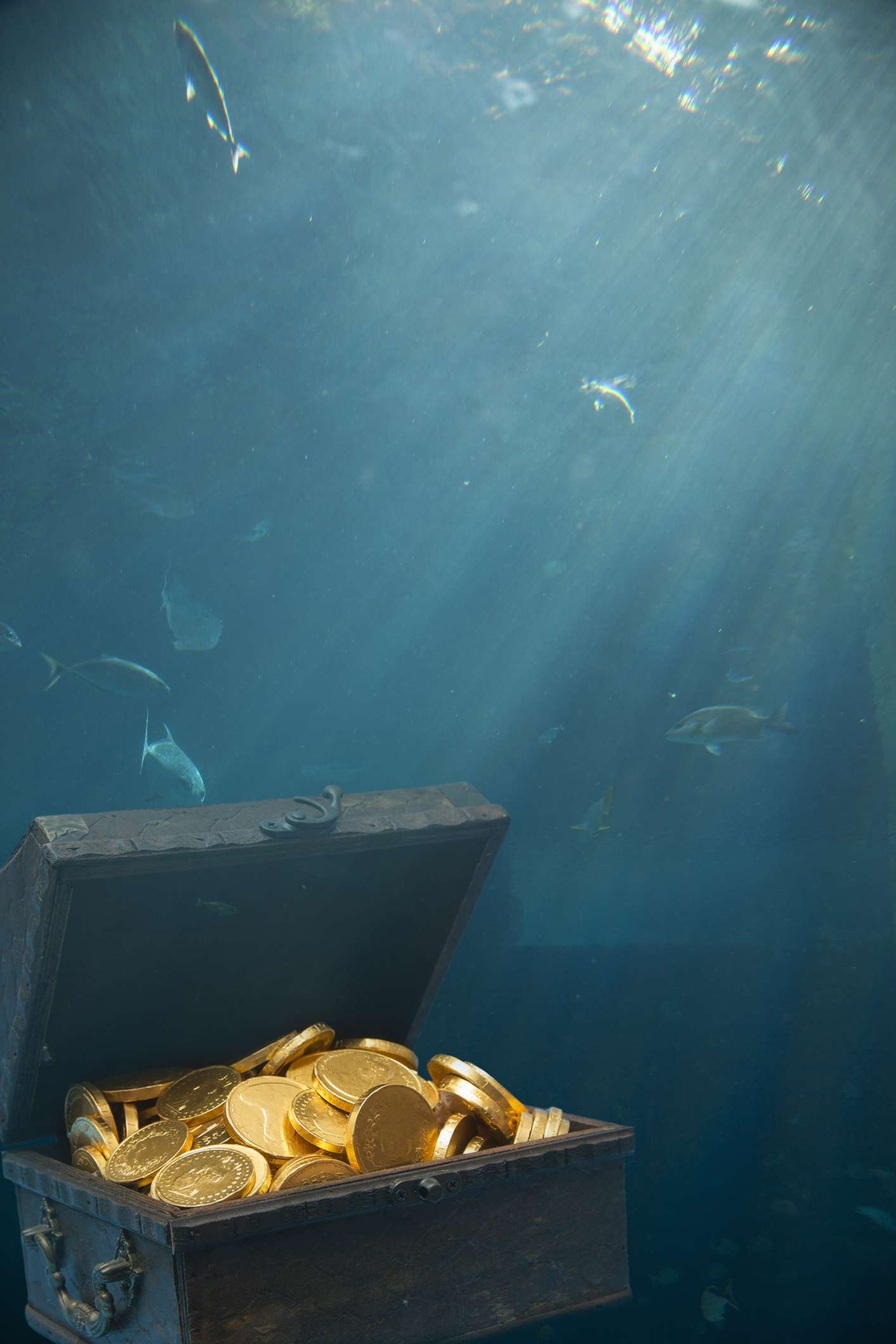 Найден корабль с золотом. Испанский Галеон затонувший с золотом. Затонувшие сокровища «Витте Лиува». Клад на дне моря. Морские клады.