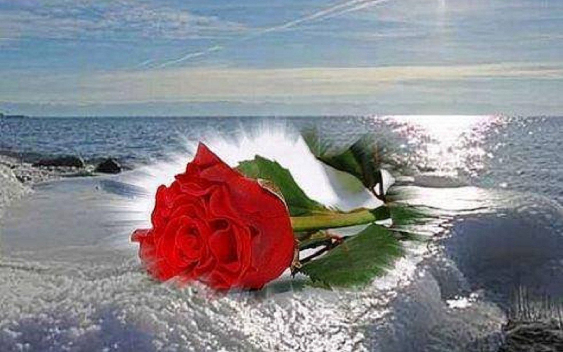Желаю океана любви. Море счастья океан любви. Розы на фоне моря. Розы красивые на берегу моря. Море цветов и любви.
