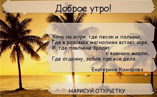 Фразы про пальмы