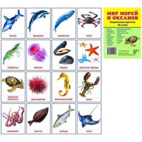 Морские обитатели названия