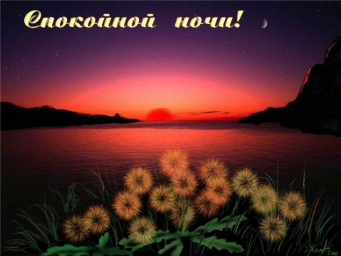 Доброй летней ночи