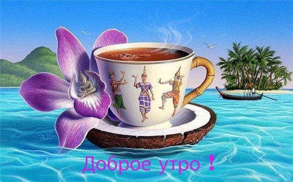 Добрый день море