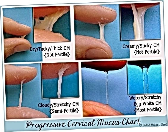 5 Анимированных сперматозоидов