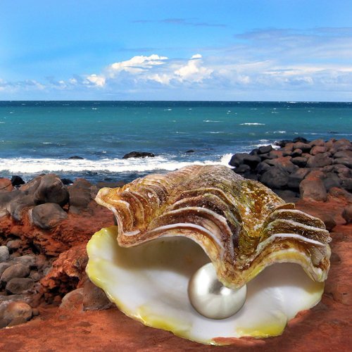Морская Жемчужница моллюск