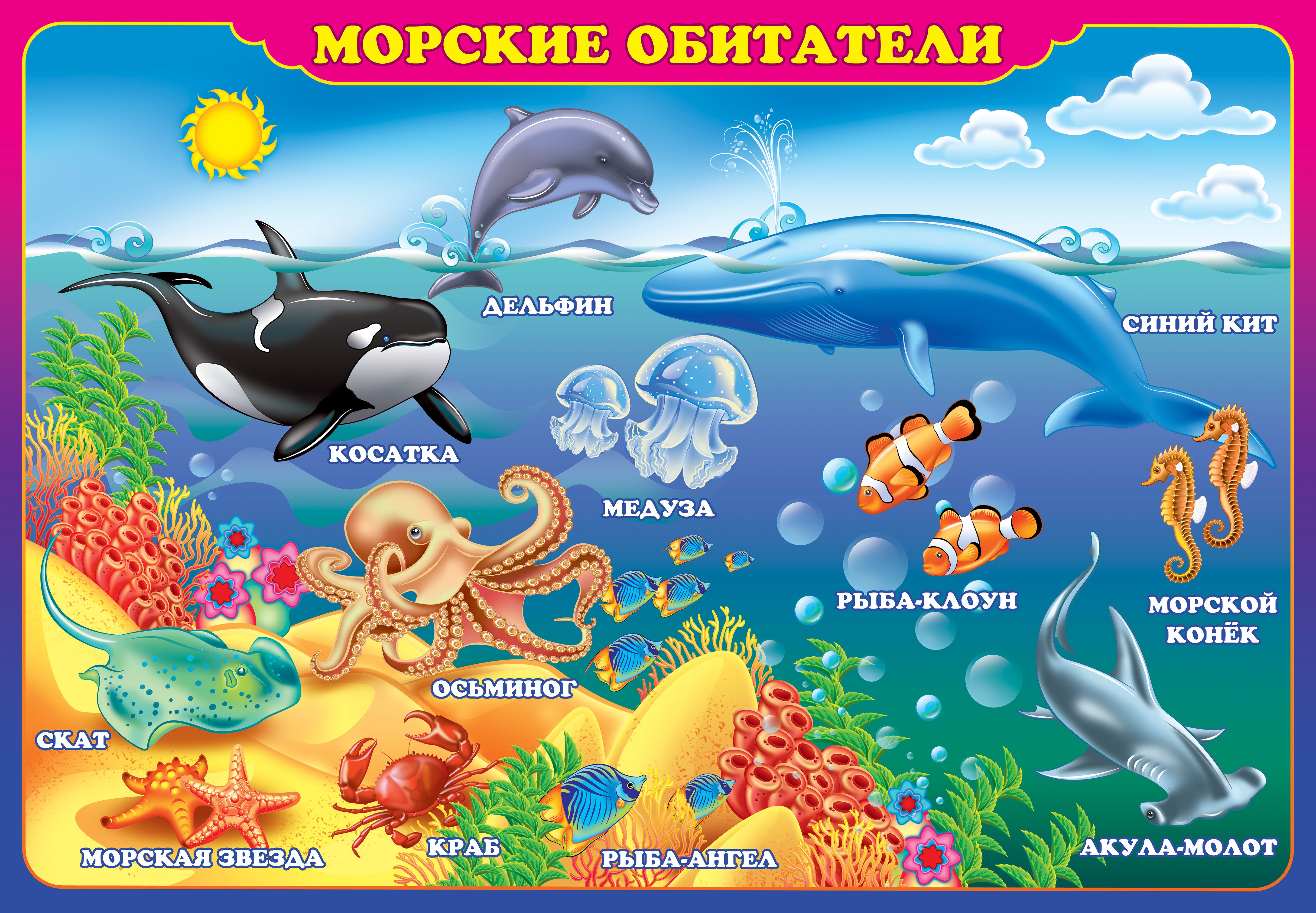 Обитатели океанов для дошкольников. Морские обитатели для детей. Обитатели моря для детей. Животные морей и океанов для детей.