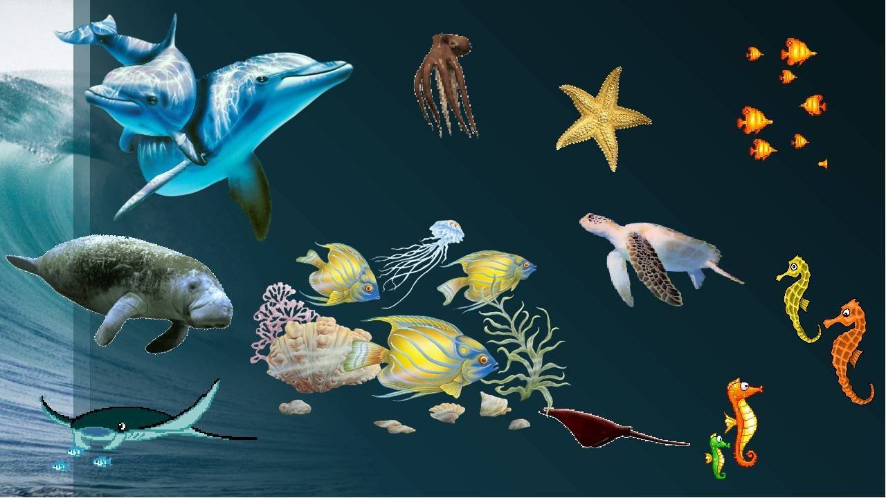 Живой мир морей и океанов подготовительная. Обитатели моря для детей. Подводные обитатели для детей. Животный мир морей и океанов. Морские животные для детей.