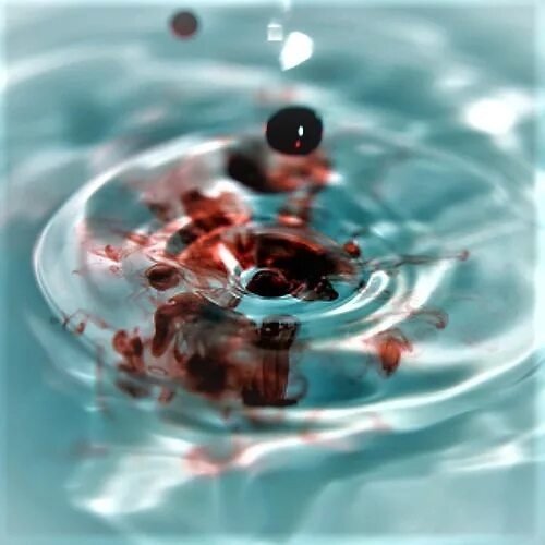 Фарерские острова бойня дельфинов