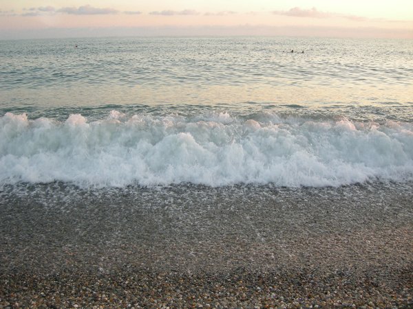 Лоо море 2021