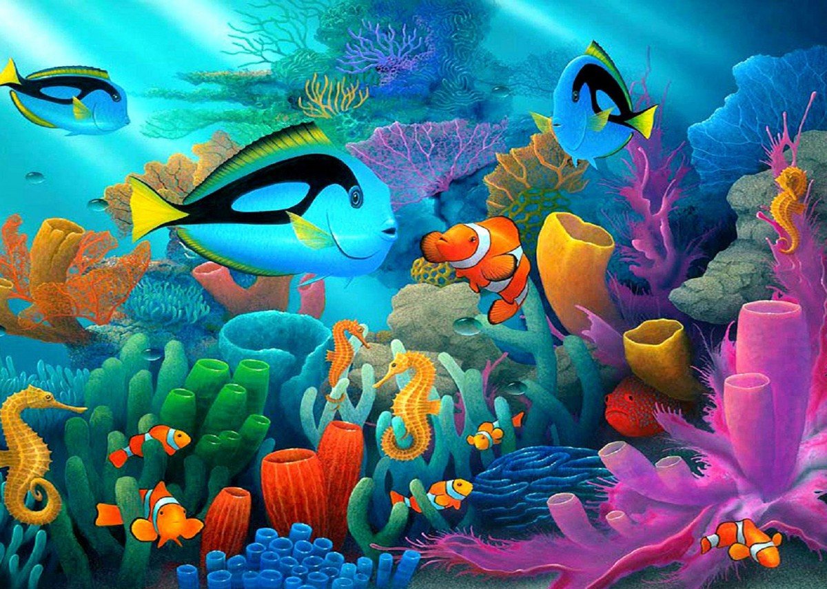 Картинки для детей море под водой (40 фото) » Картинки и статусы про  окружающий мир вокруг