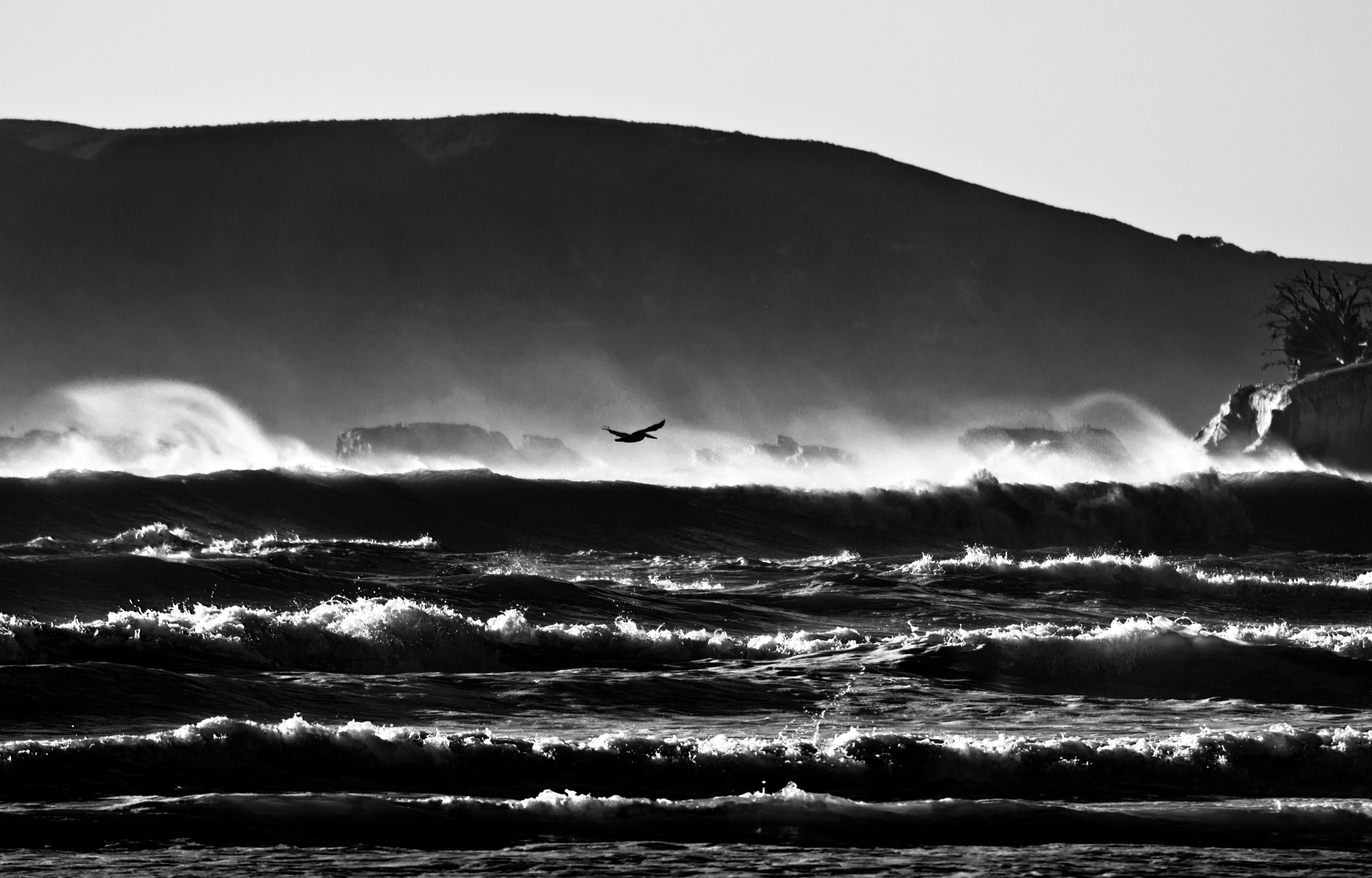 Текст черные волны. Черно белые волны. Море чб. Чёрно белое море. Море и горы.