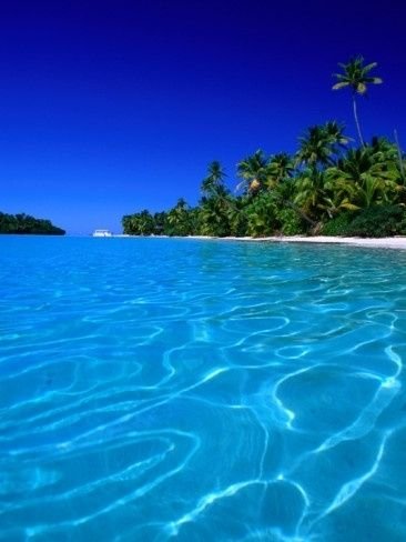 Анимированное море