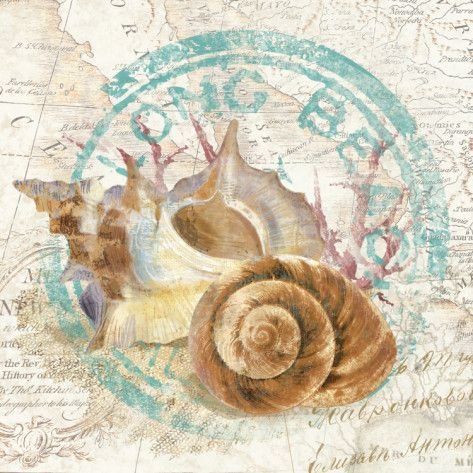 Винтажные ракушки