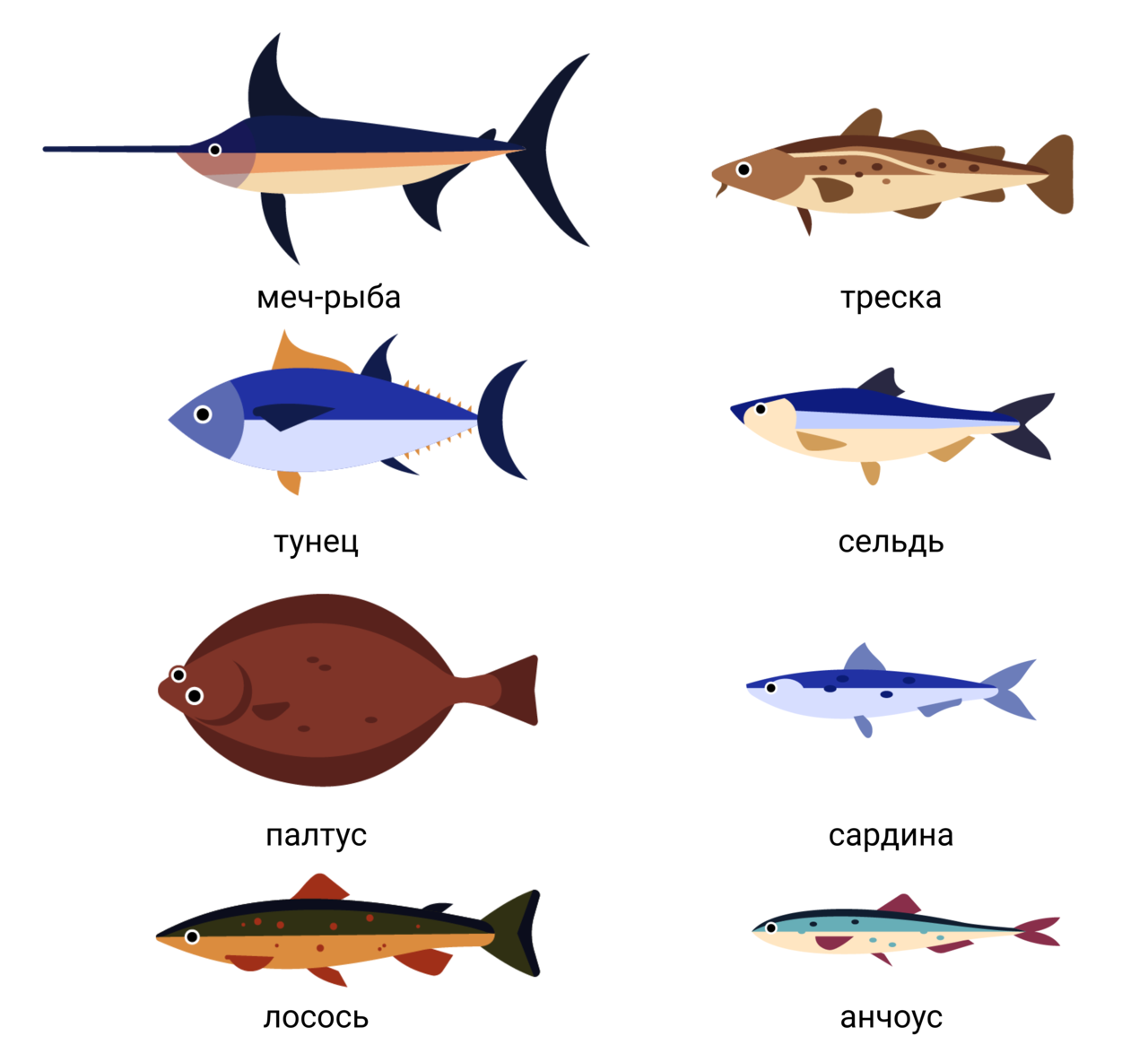 Типы рыб названия. Морская рыба названия. Разновидности рыб морских. Океанские промысловые рыбы. Название всех морских рыб.