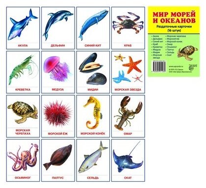 Карточки морские обитатели