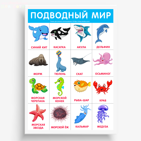 Карточки морские обитатели