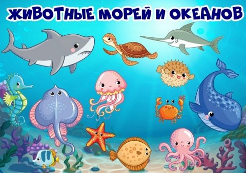 Обитатели моря для детей