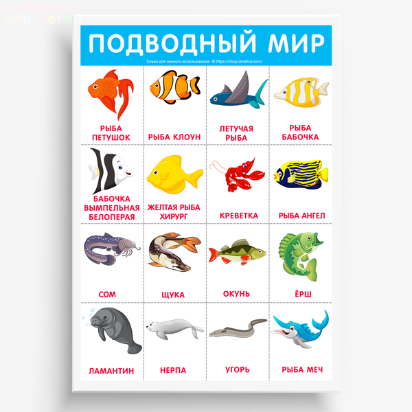 Английские слова рыба. Морские обитатели названия. Обучающие карточки рыбы для детей. Карточки с изображением рыб. Морские рыбы для детей.