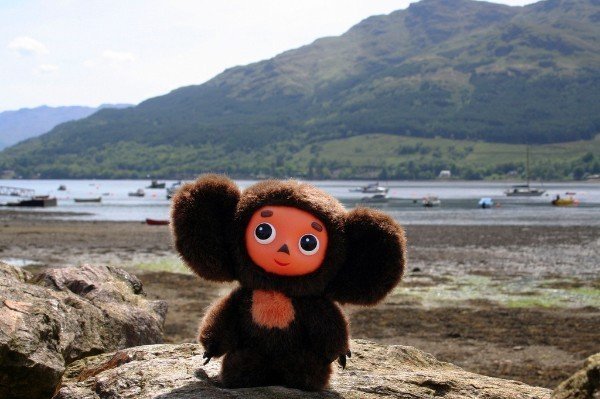 Грустный Чебурашка