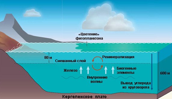 Слои океана