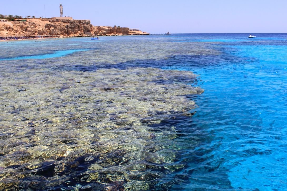 Вода в шарме сегодня. Шарм-Эль-Шейх море. Риф Шарм-Эль-Шейх. Рифы в Египте. Красное море Шарм-Эль-Шейх.