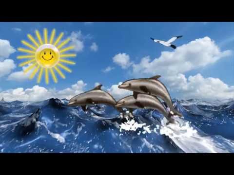 Море солнце Чайки дельфины