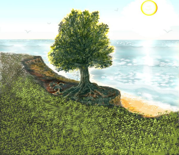 Пиния Крымская синее море