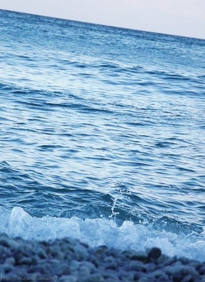 Зеленое море