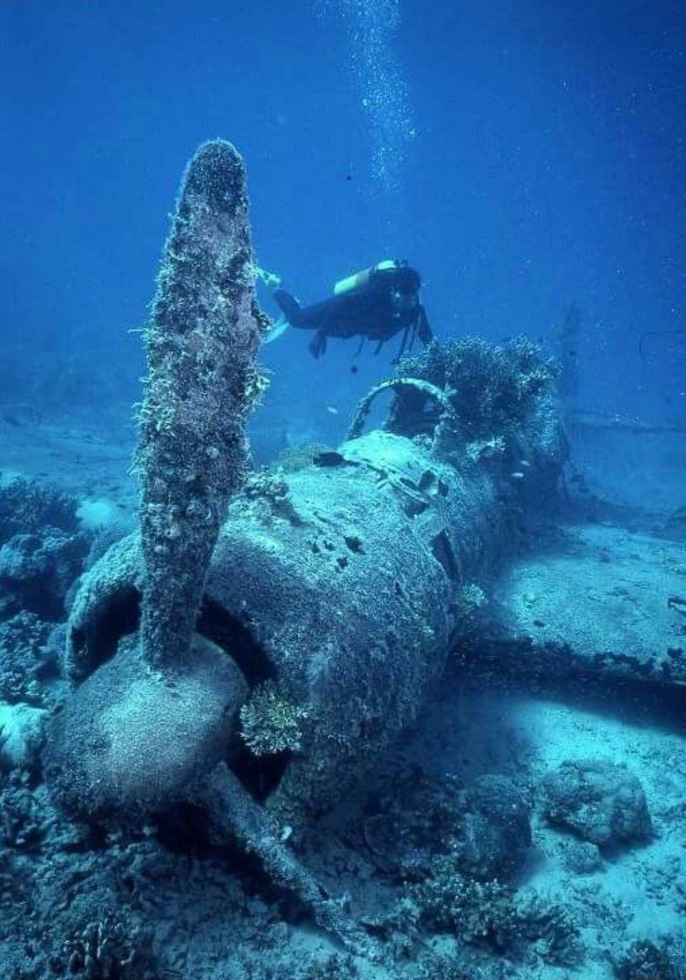 Страшное про океан. Острова Чуук подводное кладбище кораблей. Затонувший кораблик. Затонувшие самолеты. Самолёт на дне океана.