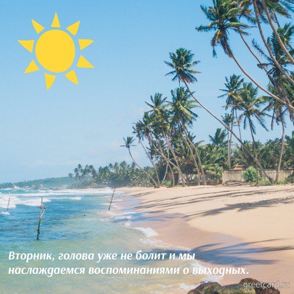 Солнечного вторника море