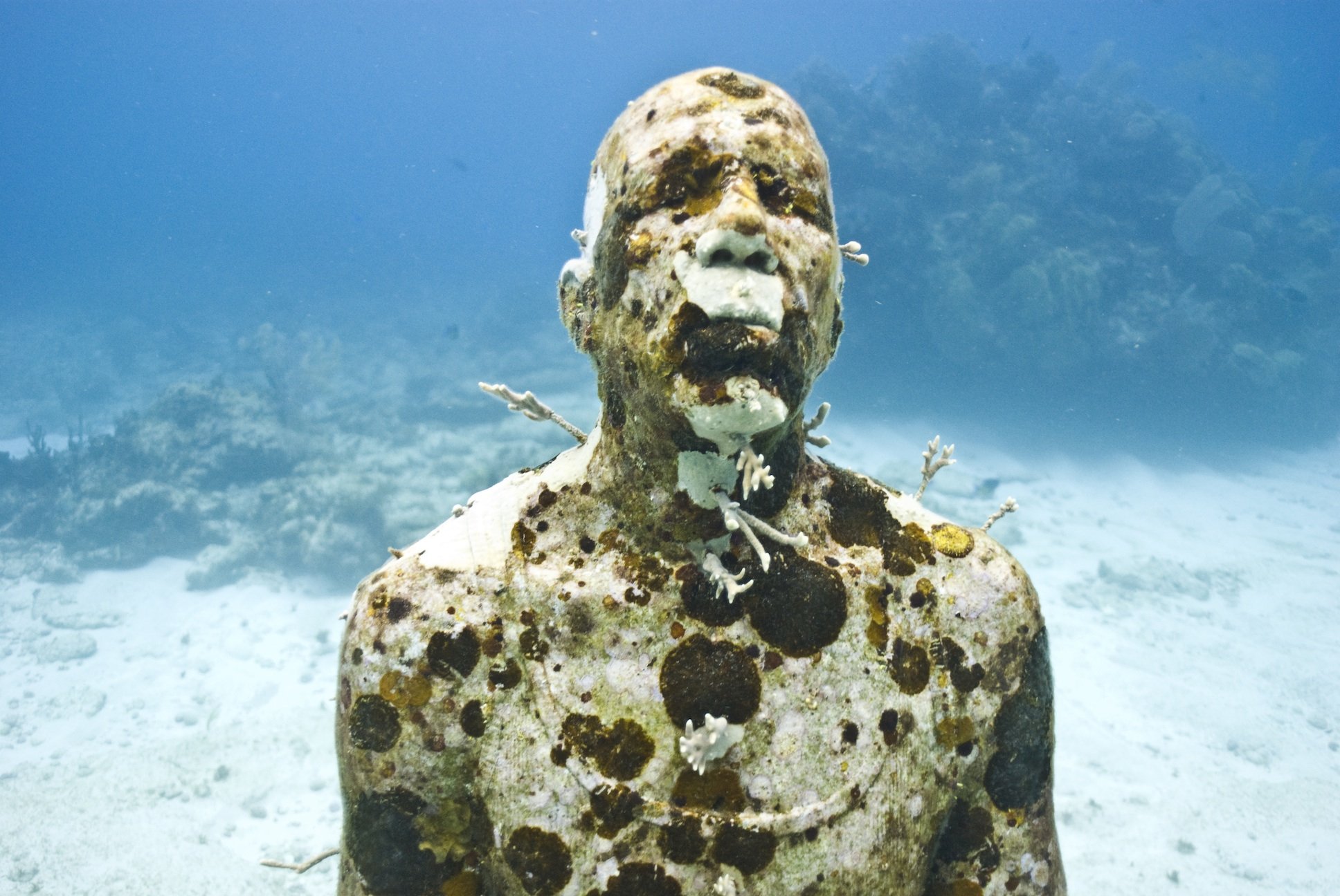 Где на дне океана. Подводный музей Джейсона де Кайрес Тейлора. Jason DECAIRES Taylor скульптор. Канкун Мексика подводный музей. Музей подводных скульптур в Канкуне.