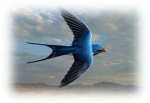 Ласточки летают