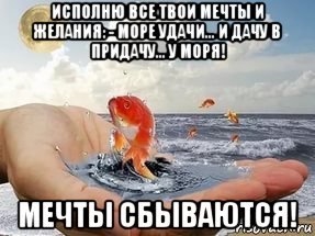 Мечтай и пусть мечты сбываются