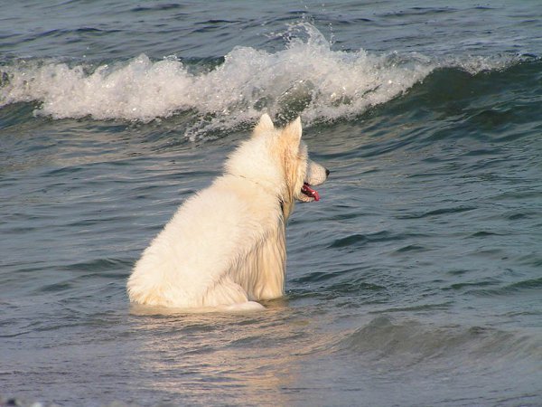 Море солнце