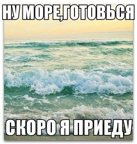 Хочу на море цитаты