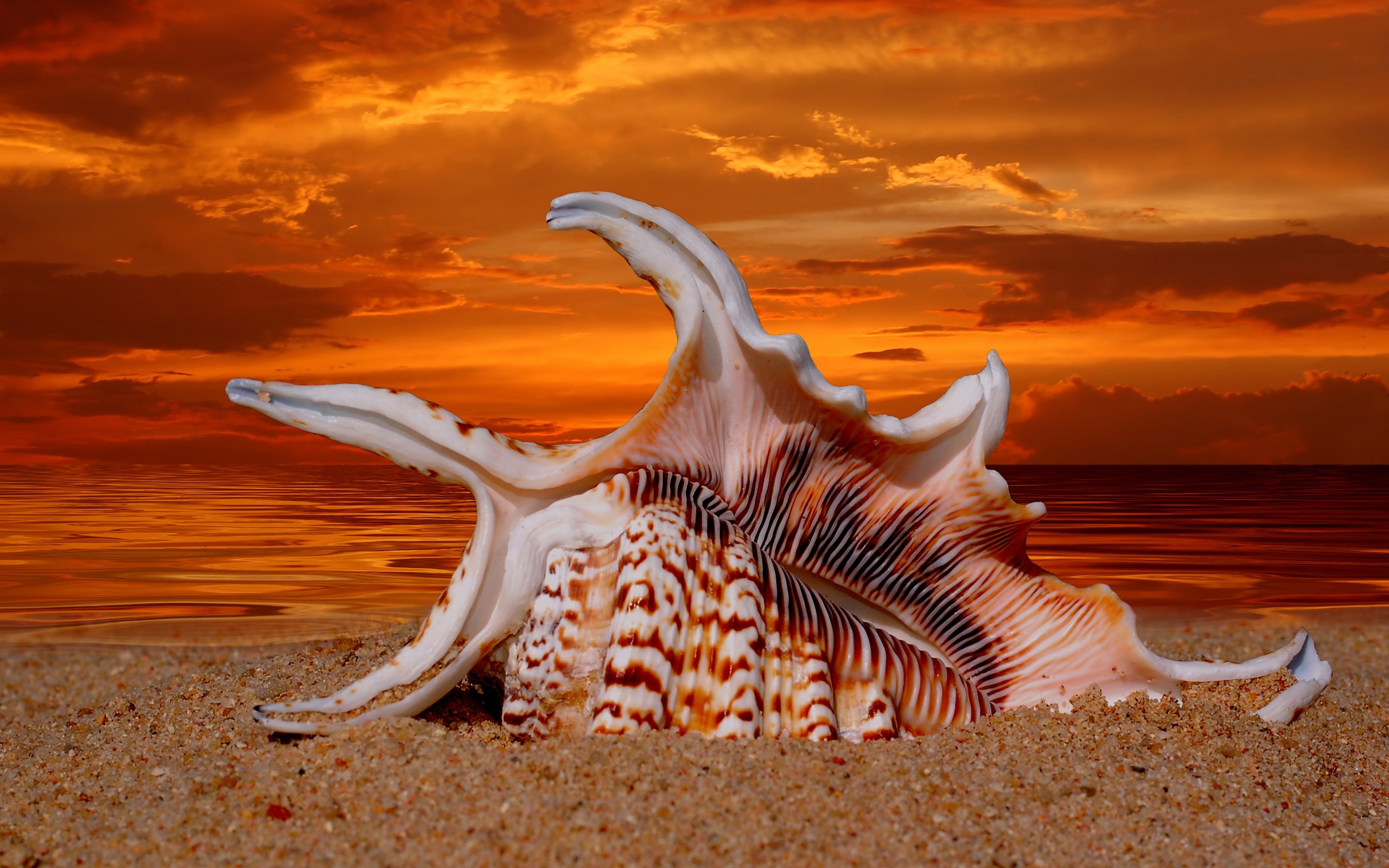 Необычные моря