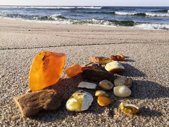 Балтийское море янтарь