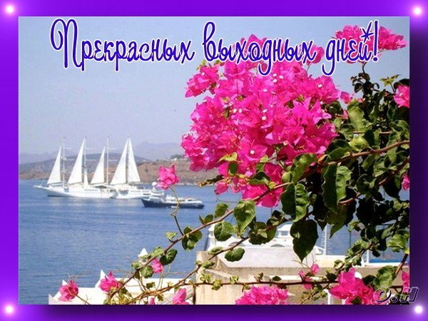 Хороших выходных море