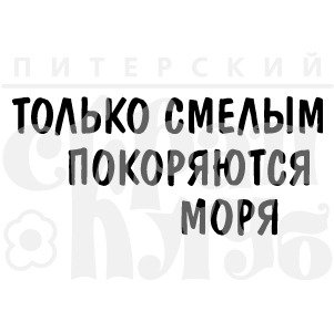 Собака загорает на пляже